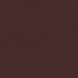Burgundy Color Package Interior