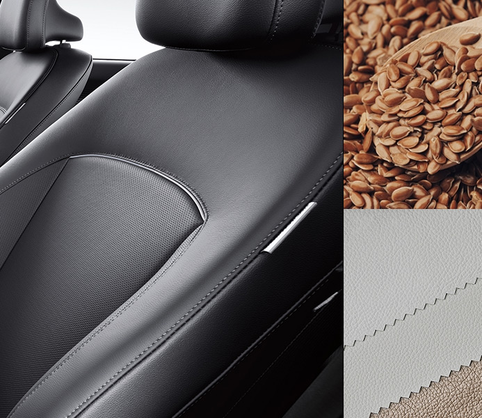 Eco-processed leather