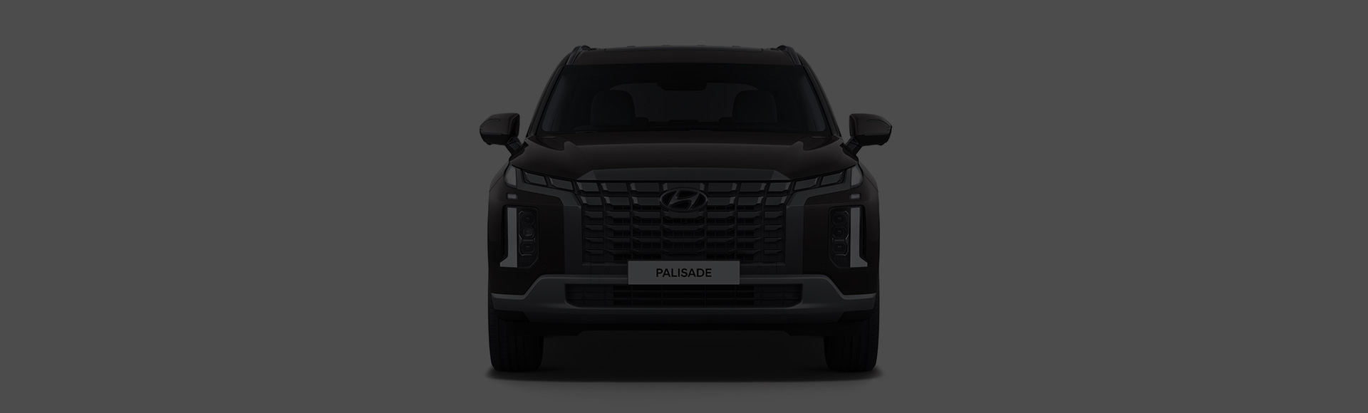 Palisade exterior front design