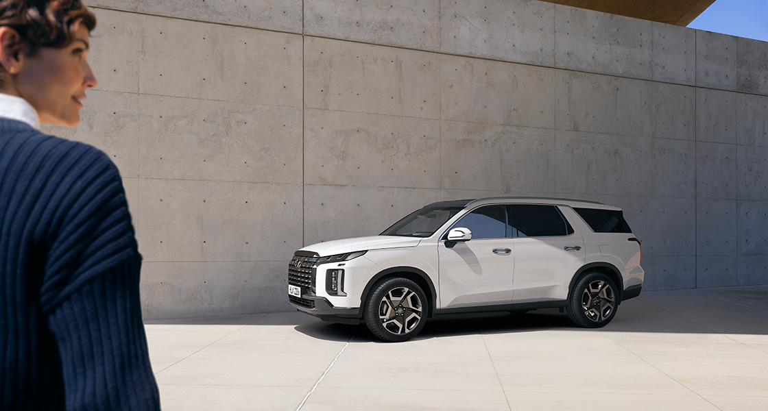 Hyundai Palisade 10